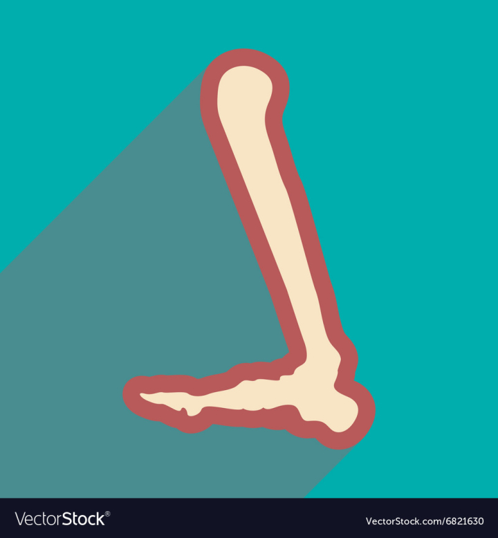Free Flat Icon With Long Shadow Human Leg Bone Vector Image Nohat Cc