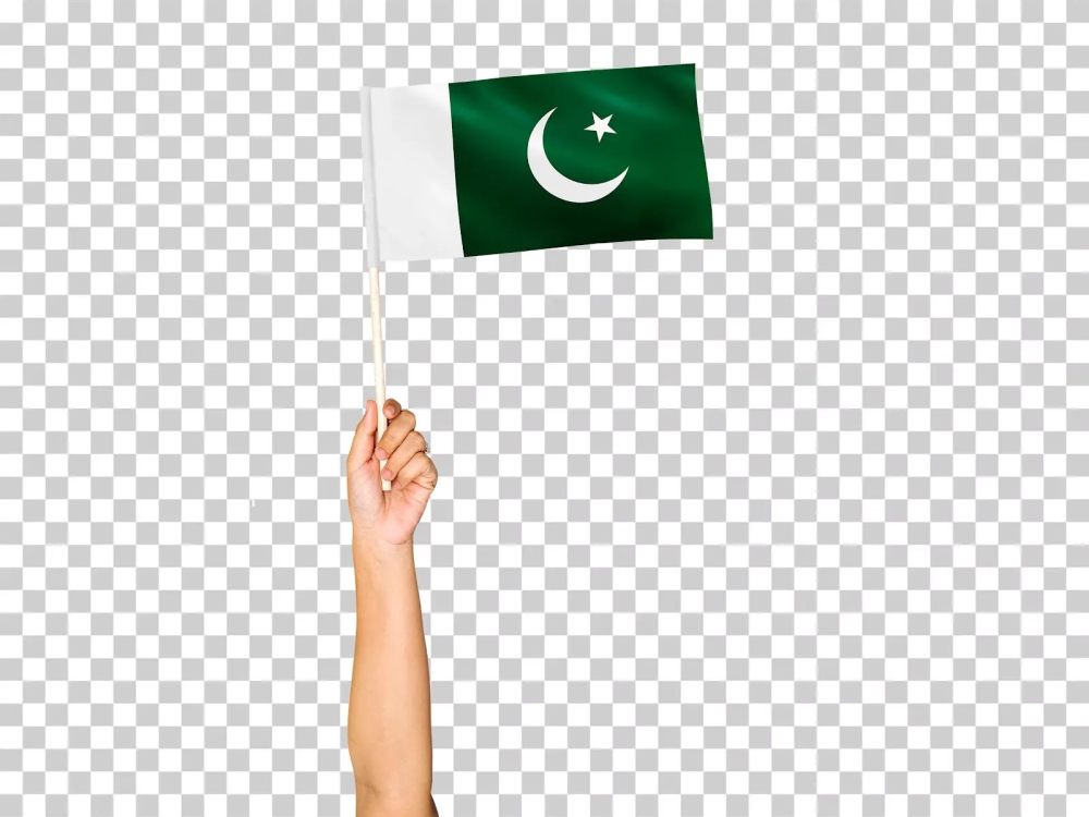 pakistan flag,pakistan flag png,flag png