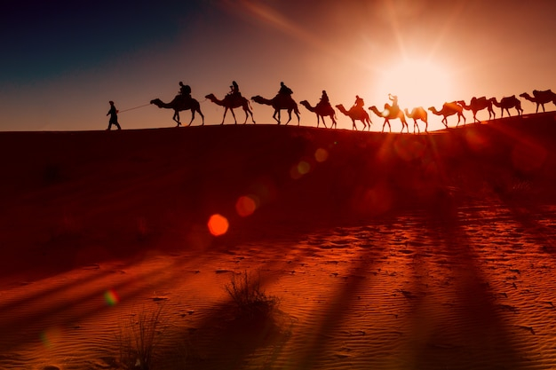 people,nature,animal,arabic,sunset,desert,arab,camel,arabian,caravan,horizontal,sahara,camels,arid