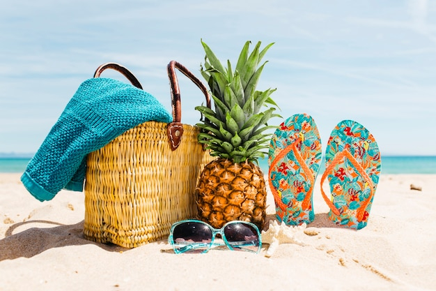 background,travel,water,summer,beach,sea,world,holiday,tropical,bag,backdrop,elements,ocean,pineapple,vacation,tourism,sand,trip,holidays,sunshine