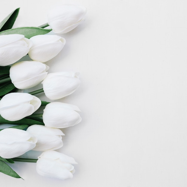 background,flower,frame,wedding,floral,winter,flowers,gift,summer,leaf,green,nature,beauty,space,spring,mother,easter,white,plants,bouquet