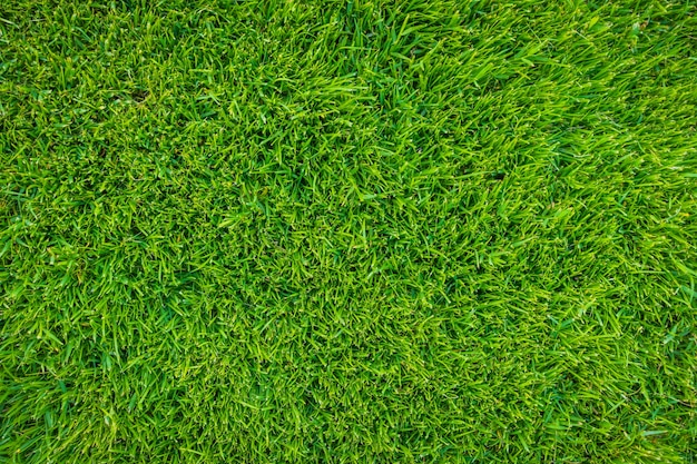 pattern,abstract background,frame,abstract,summer,green,nature,green background,wallpaper,grass,spring,color,backgrounds,plant,colorful background,park,natural,environment,nature background,clean