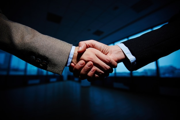 business,hand,human,teamwork,handshake,career,female,partner,deal,arm,cooperation,trust,partnership,unity,collaboration,agreement,congrats,decision,businessmen,negotiation
