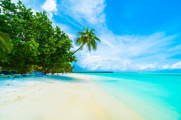 tree,travel,water,summer,nature,blue,beach,sea,sun,sky,luxury,landscape,holiday,tropical,white,palm tree,ocean,palm,vacation,island