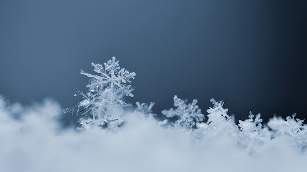 background,abstract background,christmas,christmas background,winter,abstract,snow,light,nature,photo,snowflake,shape,ice,winter background,natural,nature background,background abstract,symbol,weather,snow background