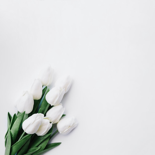 background,flower,wedding,floral,gift,summer,leaf,nature,table,beauty,spring,color,easter,white,plant,natural,studio,bouquet,blossom,tulip