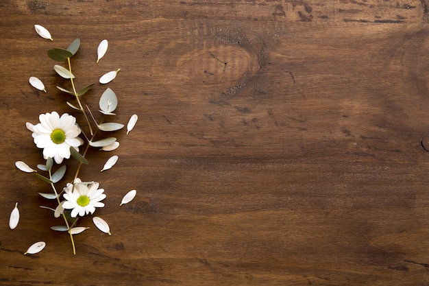 background,flower,floral,flowers,texture,wood,floral background,wood texture,backdrop,wood background,flower background,wooden,texture background,background texture,background flowers,petals,surface,composition