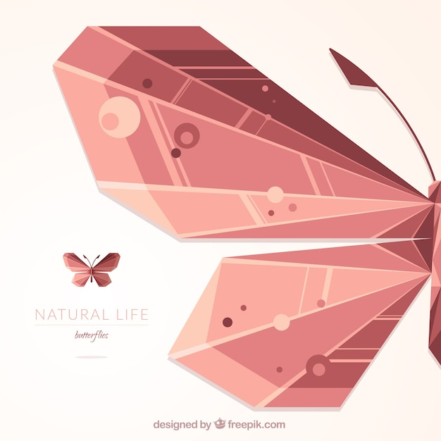 background,abstract background,abstract,geometric,nature,animal,butterfly,wings,geometric background,polygonal,nature background,insect,geometrical