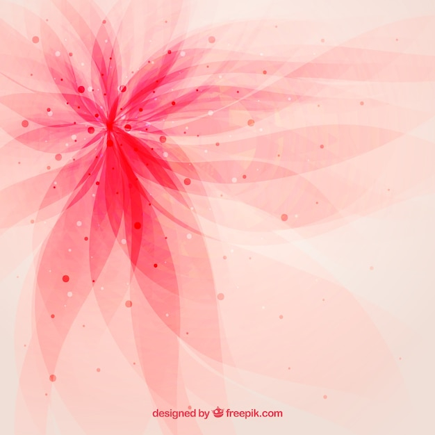 background,flower,abstract background,floral,abstract,floral background,pink,spring,pink background,flower background,spring background,spring flowers,bloom,springtime,blooming