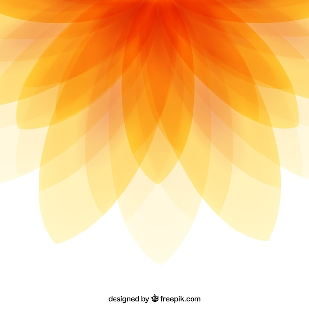  background, flower, abstract background, floral, abstract, floral background, orange, flower background, orange background, blossom, petals, petal