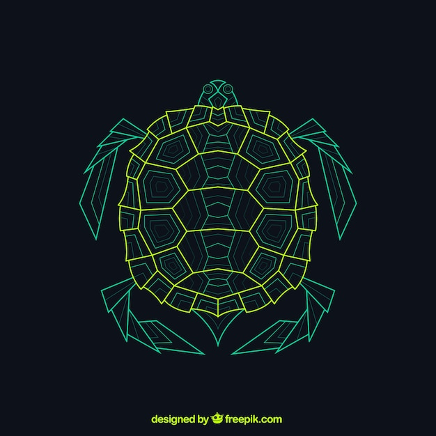 abstract,geometric,green,animal,turtle,geometrical,tortoise