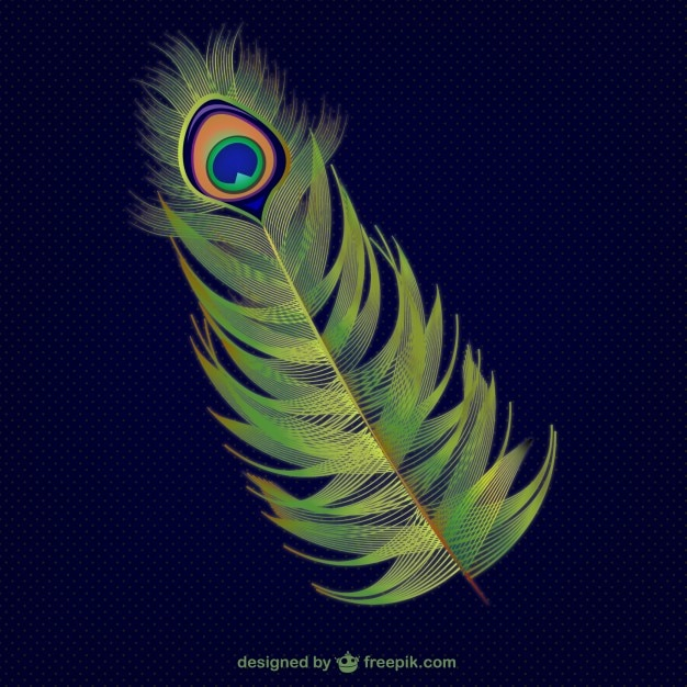 abstract,animal,feather,peacock,peacock feather,plumage
