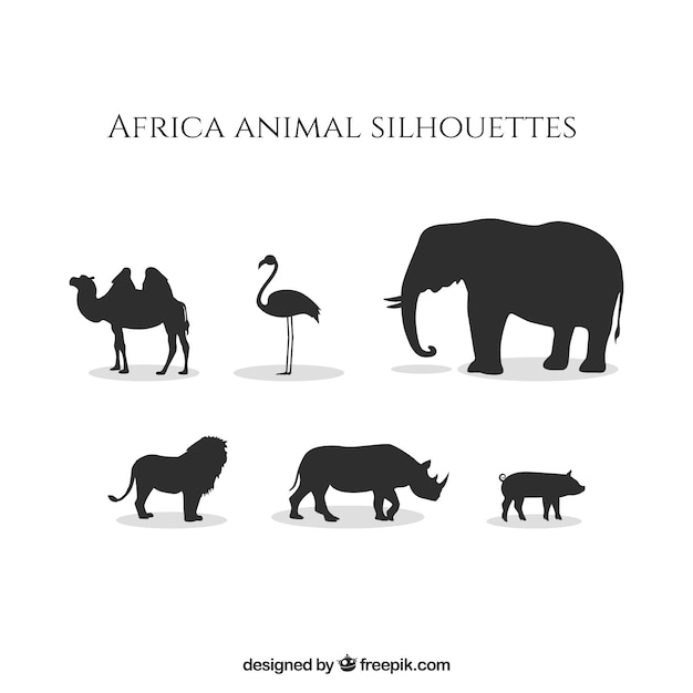 animal,animals,elephant,pig,africa,flamingo,life,african,camel,silhouettes,wild,rhino,horizontal,savanna,wild life