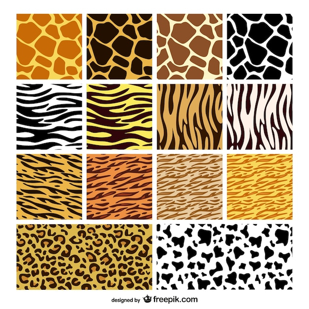 pattern,texture,animal,tiger,skin,zebra,material,leopard,animal pattern,fur,horizontal