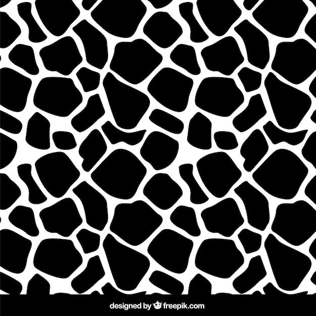  pattern, animal, cow, seamless pattern, black and white, print, giraffe, seamless, animal print, spot, dalmatian