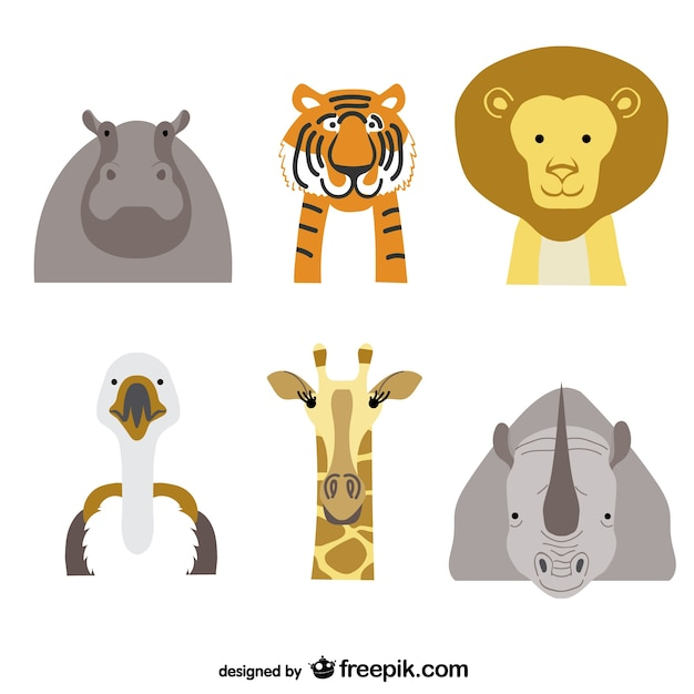 animal,lion,animals,tiger,pack,rhino,ostrich