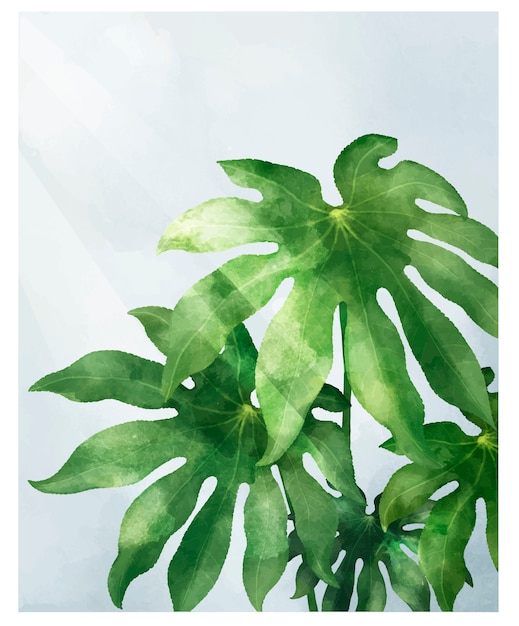 background,watercolor,tree,water,hand,ornament,leaf,green,nature,green background,home,hand drawn,art,color,leaves,white background,graphic,digital,tropical,sketch