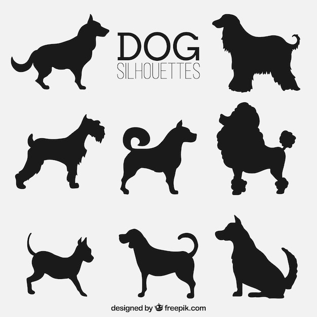  dog, animal, silhouette, pet, decorative, silhouettes, dog silhouette, animal silhouettes, fantastic, domestic, breed, canine, assortment