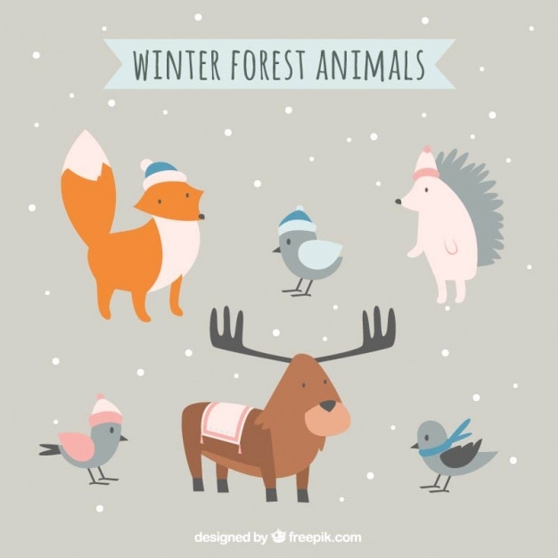 winter,hand,nature,animal,hand drawn,forest,animals,birds,drawing,fox,drawn,lovely,wild,sketchy,sketches,hedgehog,maple,wildlife,assortment