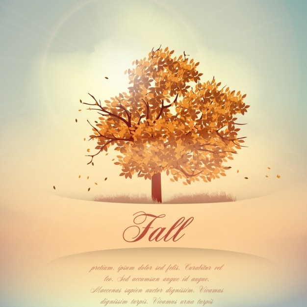 background,tree,leaf,autumn,leaves,backgrounds,backdrop,fall,trees,autumn leaves,season,backdrops,seasonal