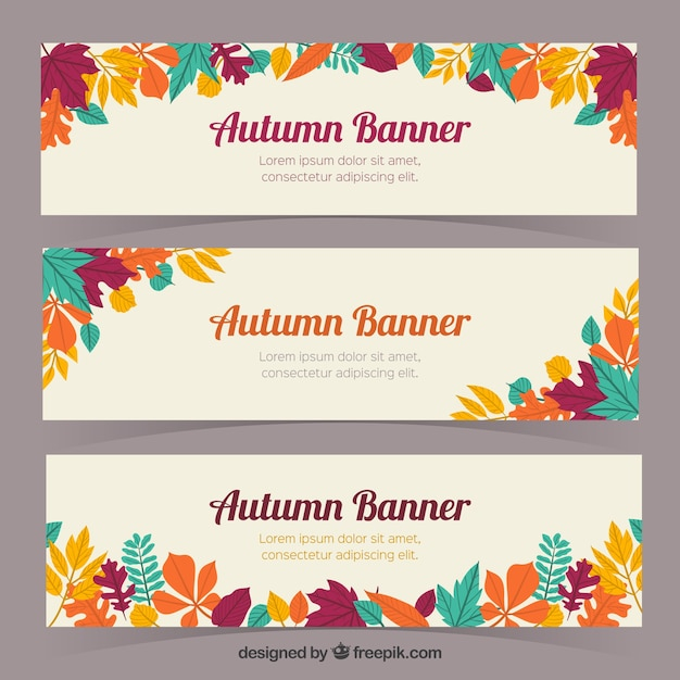 banner,leaf,nature,banners,autumn,leaves,fall,natural,colors,warm,autumn leaves,branches,season,fall leaves,collection,seasonal,deciduous,warm colors,autumnal