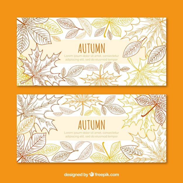 banner,design,template,leaf,nature,banners,autumn,cute,leaves,colorful,creative,fall,natural,colors,brown,templates,warm,autumn leaves,branches,beautiful
