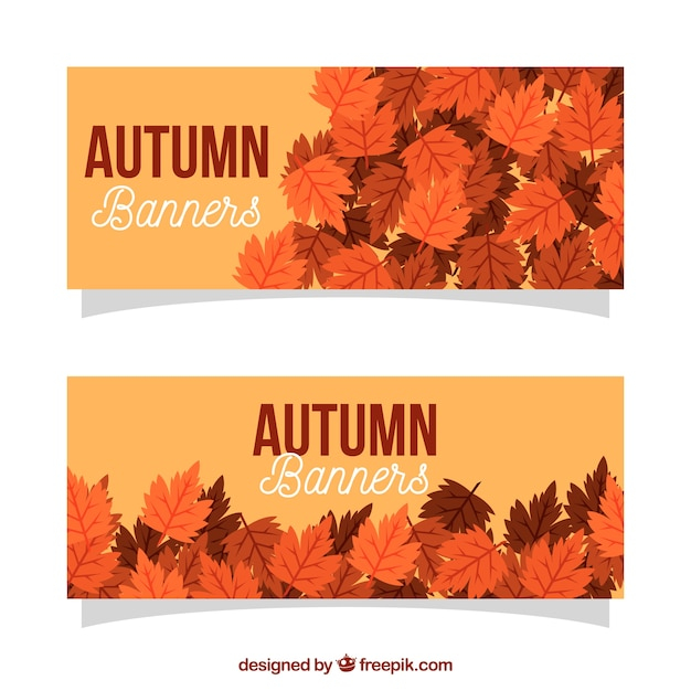 banner,design,leaf,nature,banners,autumn,leaves,fall,natural,colors,warm,autumn leaves,branches,season,fall leaves,seasonal,deciduous,warm colors,autumnal