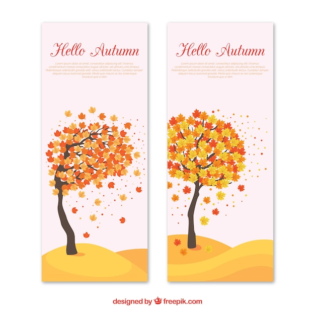 banner,tree,template,leaf,nature,banners,autumn,cute,leaves,colorful,creative,fall,natural,colors,brown,templates,warm,autumn leaves,branches,beautiful