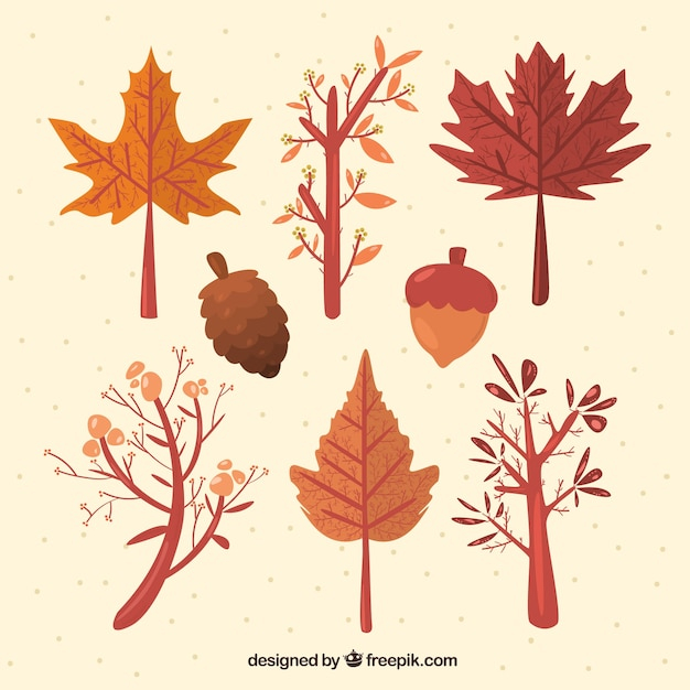 leaf,nature,autumn,cute,leaves,colorful,fall,elements,natural,trees,colors,branch,tree branch,warm,autumn leaves,branches,season,pack,fall leaves,collection