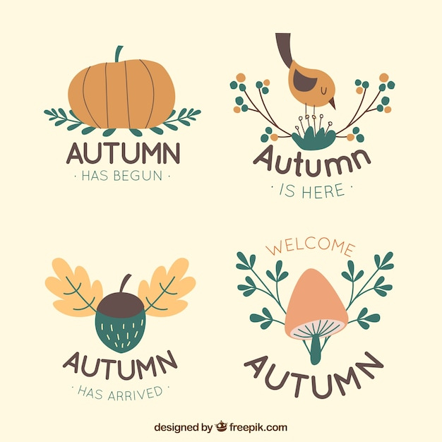 logo,leaf,nature,autumn,leaves,fall,elements,natural,colors,warm,autumn leaves,branches,season,pack,fall leaves,collection,set,seasonal,deciduous,warm colors