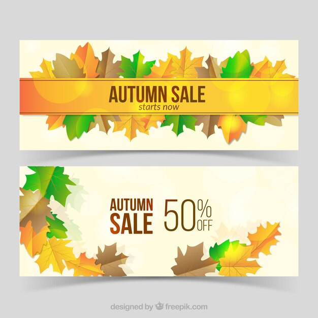 banner,sale,template,leaf,nature,shopping,banners,autumn,leaves,promotion,discount,colorful,price,offer,store,fall,modern,natural,flat design,promo