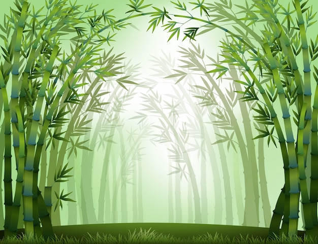  tree, green, nature, cartoon, forest, landscape, chinese, grass, leaves, graphic, tropical, japanese, drawing, jungle, natural, environment, illustration, bamboo, plants