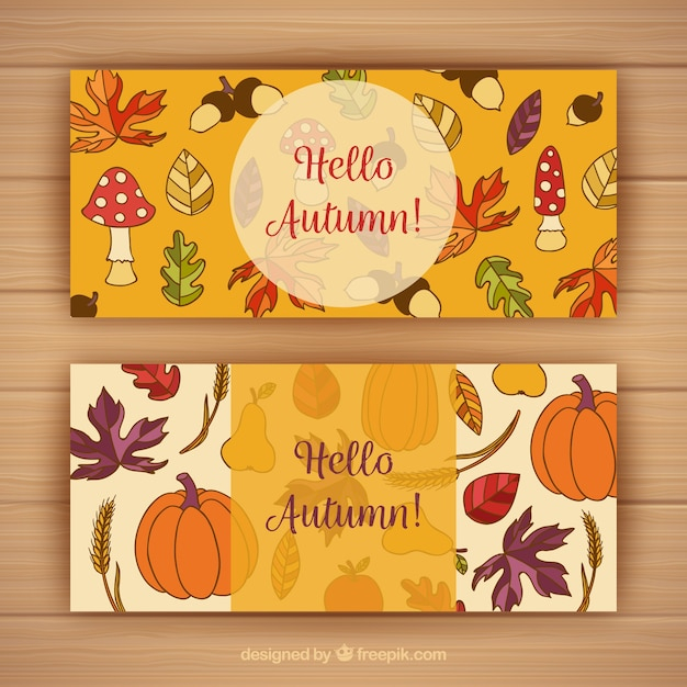 banner,template,leaf,nature,banners,autumn,cute,leaves,colorful,creative,fall,elements,natural,colors,print,brown,templates,warm,autumn leaves,branches
