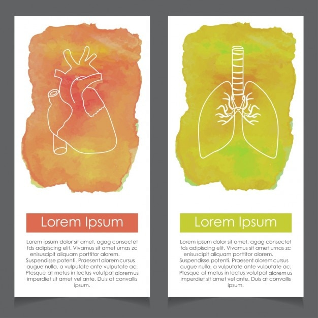 banner,watercolor,people,heart,template,medical,doctor,banners,health,science,hospital,human,medicine,blood,pharmacy,human body,care,healthcare,clinic,anatomy