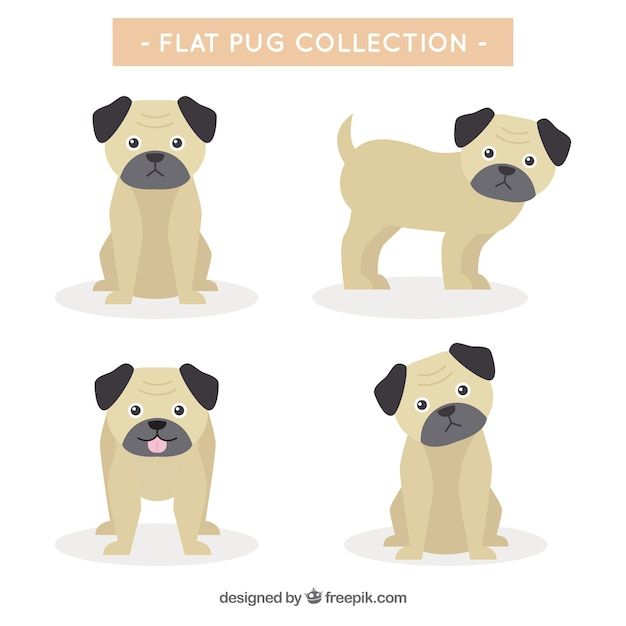 design,dog,animal,cute,flat,pet,flat design,fun,funny,cute animals,lovely,puppy,pack,pug,collection,set,basic,domestic,breed,dog breed