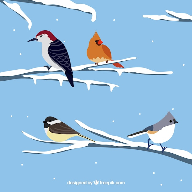 winter,snow,nature,bird,animal,animals,feather,wings,birds,december,branch,cold,branches,beautiful,season,wild,wildlife,snowy,seasonal,plumage