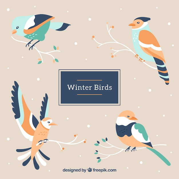 winter,hand,nature,bird,animal,hand drawn,animals,feather,wings,birds,colors,branch,cold,branches,season,drawn,wild,pretty,wildlife,seasonal