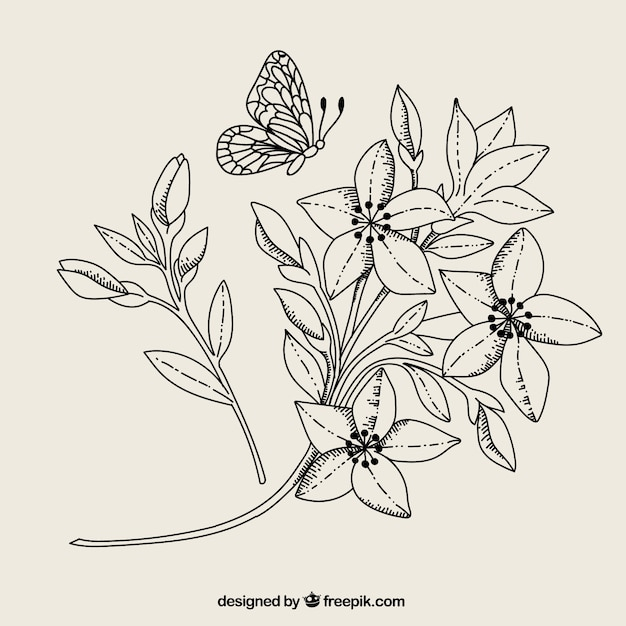flower,flowers,leaf,nature,animal,butterfly,leaves,black,wings,white,plant,plants,blossom,insect,flourish,stem,bloom