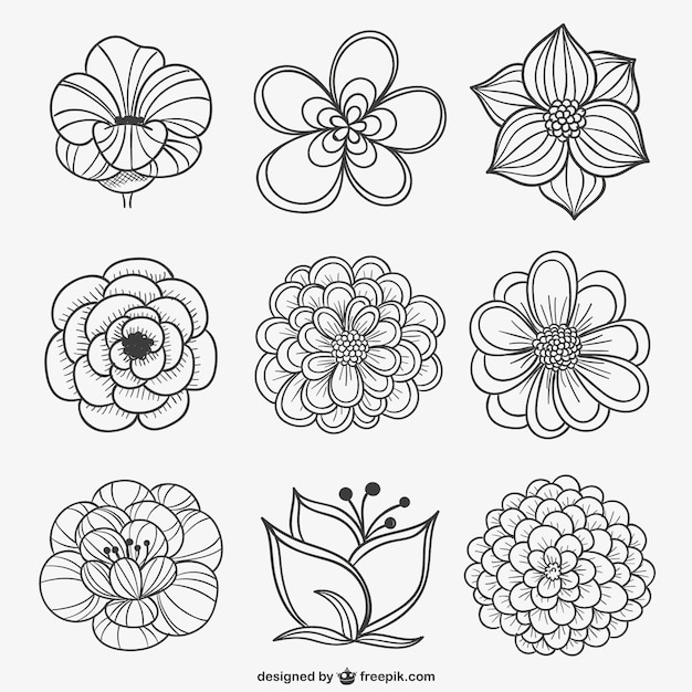 flower,floral,flowers,design,black,white,flower vector,illustration,illustrations,flower design
