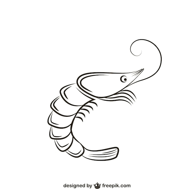 black,white,illustration,seafood,shrimp,lobster,prawn,shellfish,shrimps