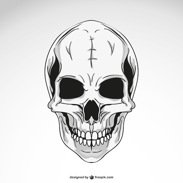 design,icon,halloween,template,sea,skull,graphic design,icons,black,graphic,human,drawing,illustration,head,symbol,skeleton,horror,death,image