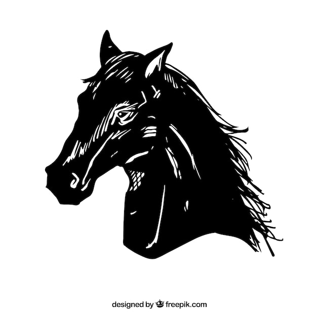 animal,black,horse,illustration,head,graphics