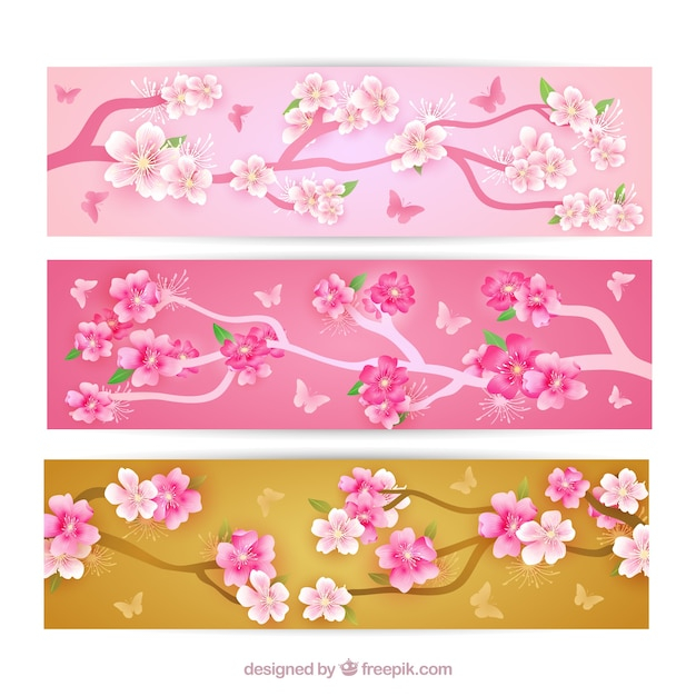 banner,flower,tree,flowers,nature,banners,japan,spring,cherry blossom,traditional,cherry,blossom,spring flowers,cherry blossoms,cherry tree,bloom,blossoms,blooming,japanes