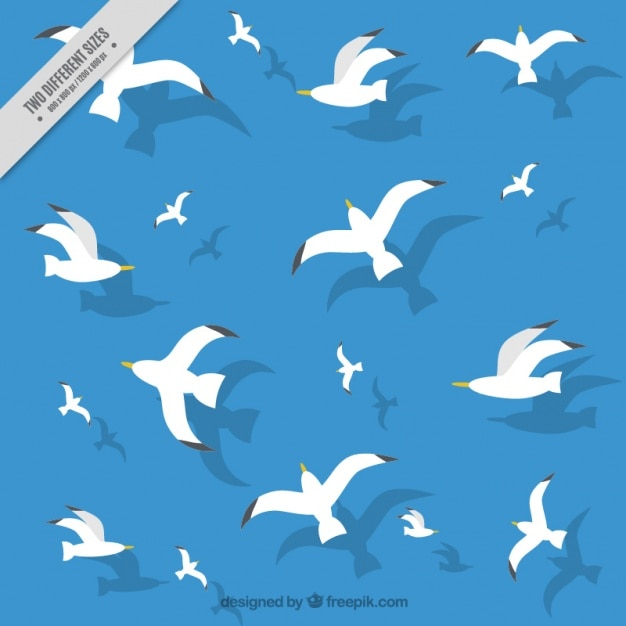 background,pattern,blue,backdrop,decoration,birds,seamless pattern,pattern background,decorative,seamless,loop,seagulls