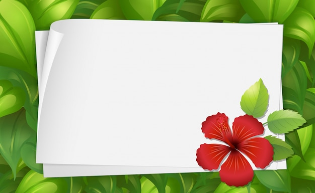 background,banner,flower,frame,design,border,template,paper,nature,banner background,art,leaves,graphic,text,tropical,sign,board,flower background,drawing