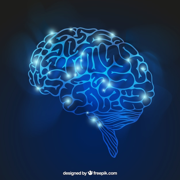 abstract,medical,light,blue,brain,human,neon,medicine,mind,knowledge,anatomy,bright,shiny,intelligence,intelligent,neurology