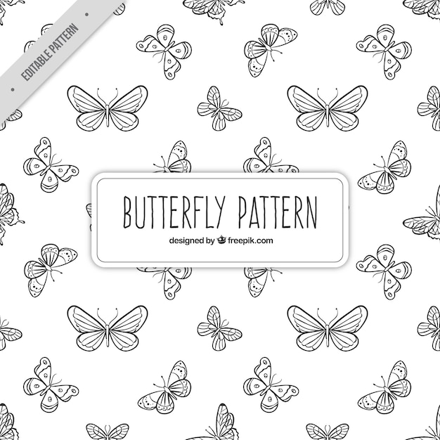 background,pattern,hand,nature,animal,butterfly,hand drawn,backdrop,drawing,seamless pattern,natural,nature background,pattern background,fly,seamless,butterflies,drawn,sketchy,sketches,flying