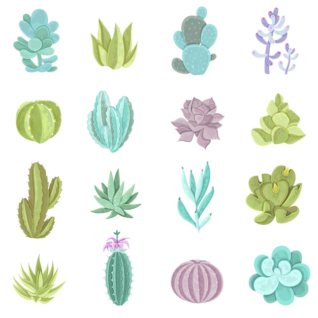 flowers,green,nature,home,earth,icons,work,time,plant,decoration,elements,cactus,emblem,decorative,symbol,home icon,soil,gardening,icon set,grow