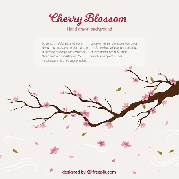 background,flower,floral,tree,hand,floral background,nature,hand drawn,spring,plant,flower background,cherry blossom,natural,nature background,branch,cherry,blossom,spring background,beautiful,season