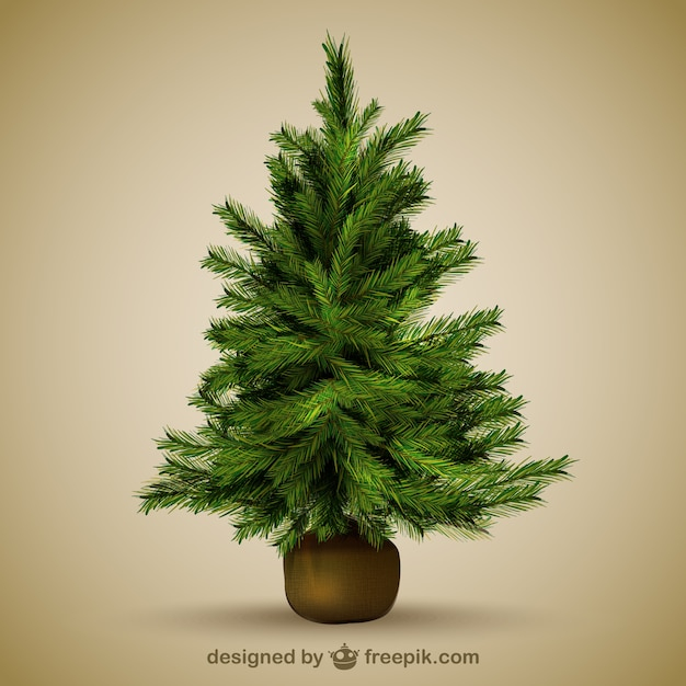 christmas tree,christmas,tree,decoration,christmas decoration,trees,illustration,christmas decorations,christmas trees,decorations